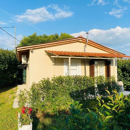Villa The Mansion Of Dionisos And Dimitras 5 Linaria  Exterior foto